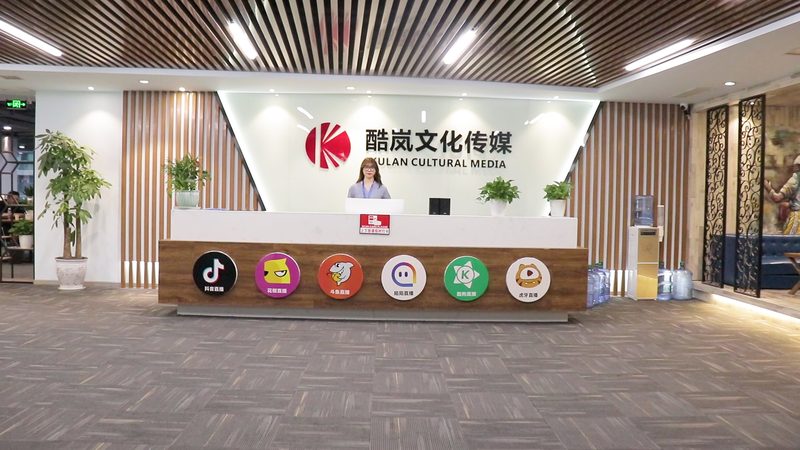 宣传片拍摄定制：揭秘十大品牌背后的专业与实力