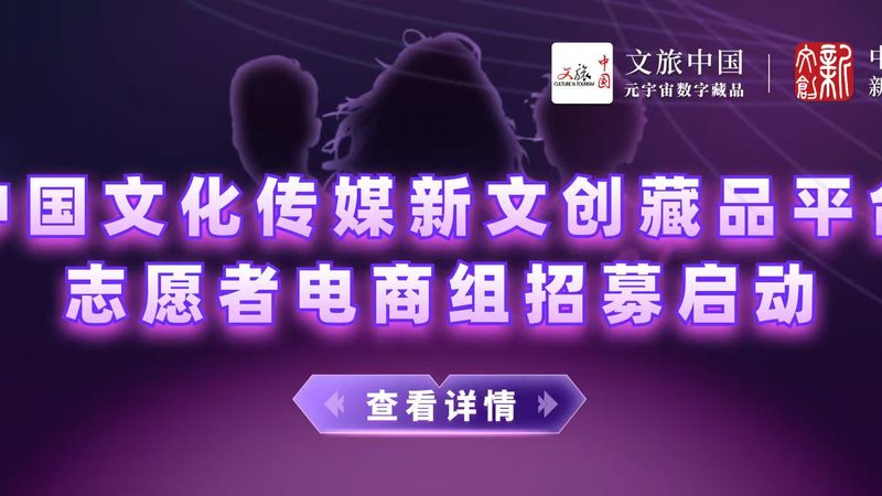 企业年度公关传播方案：构建品牌影响力的战略蓝图**